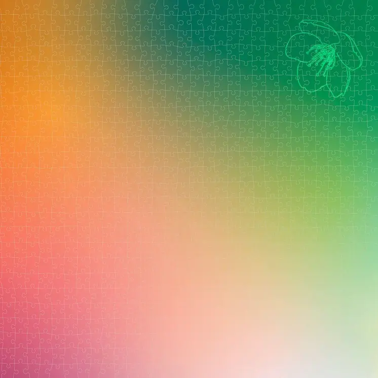 Puzzle Colorbaby Season's Gradients Spring 68 x 50 cm (6 Units)
