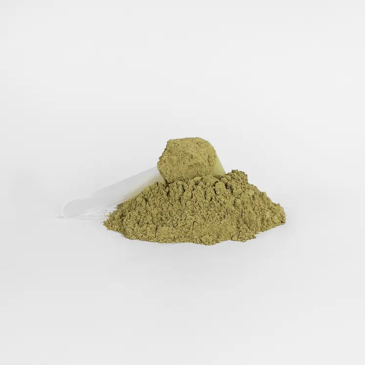 VitalGreens Wellness Blend