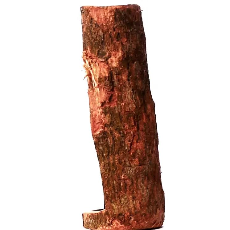 Men Carved Inside a Raw Neem Tree Trunk