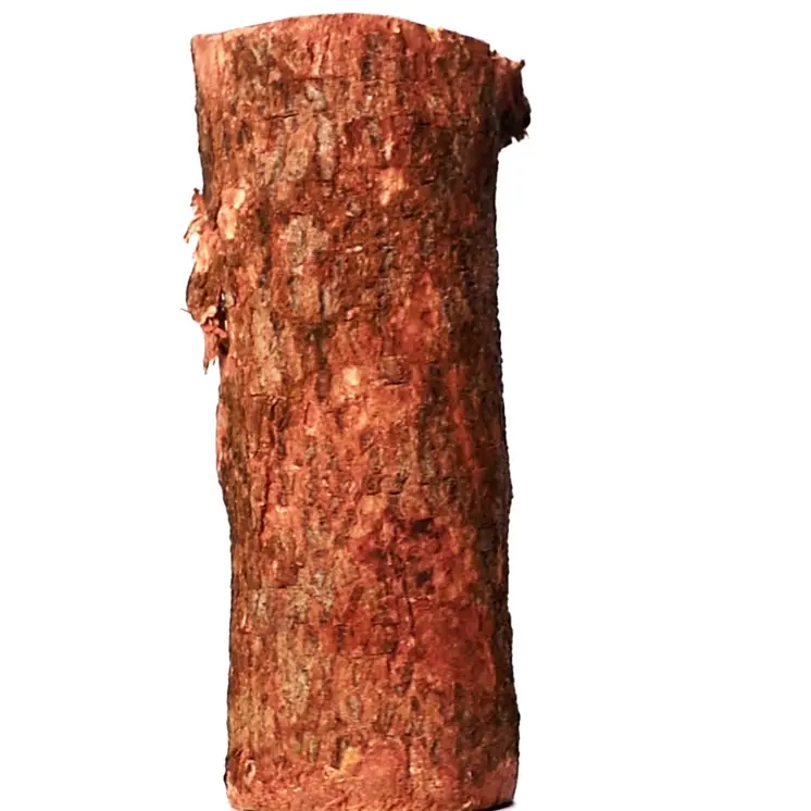 Men Carved Inside a Raw Neem Tree Trunk