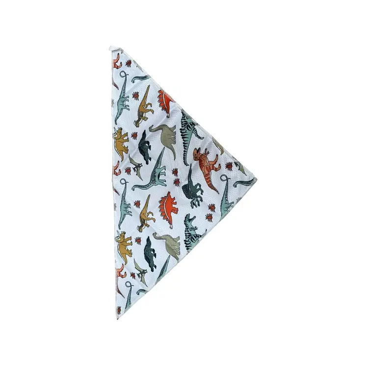 Dinosaur Print (7-Piece, Full Dog Accessories Set) by Doggy Days