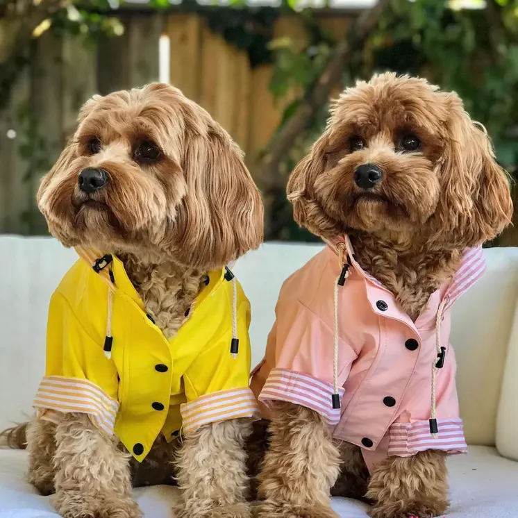 Sloane Waterproof Dog Rain Jacket (Blush) – by The Paw Co.