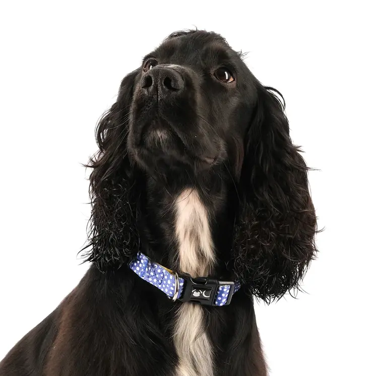 The Minnie Dog Collar - by Neon Moon Pet Boutique