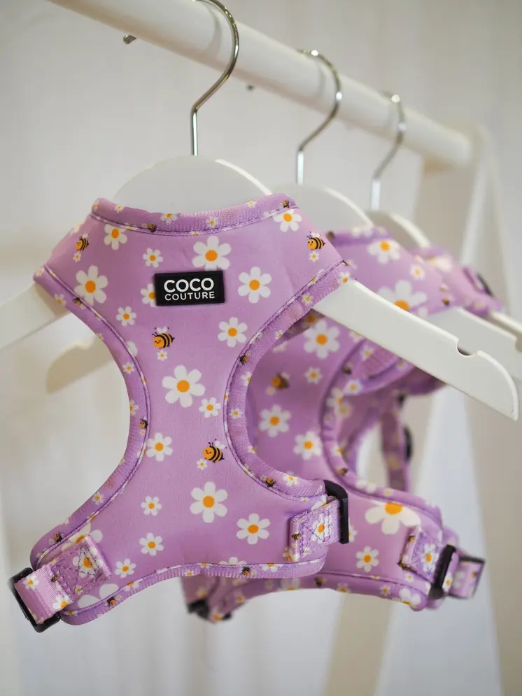 "Cute As Can Be" Adjustable Dog Harness – by Coco Couture