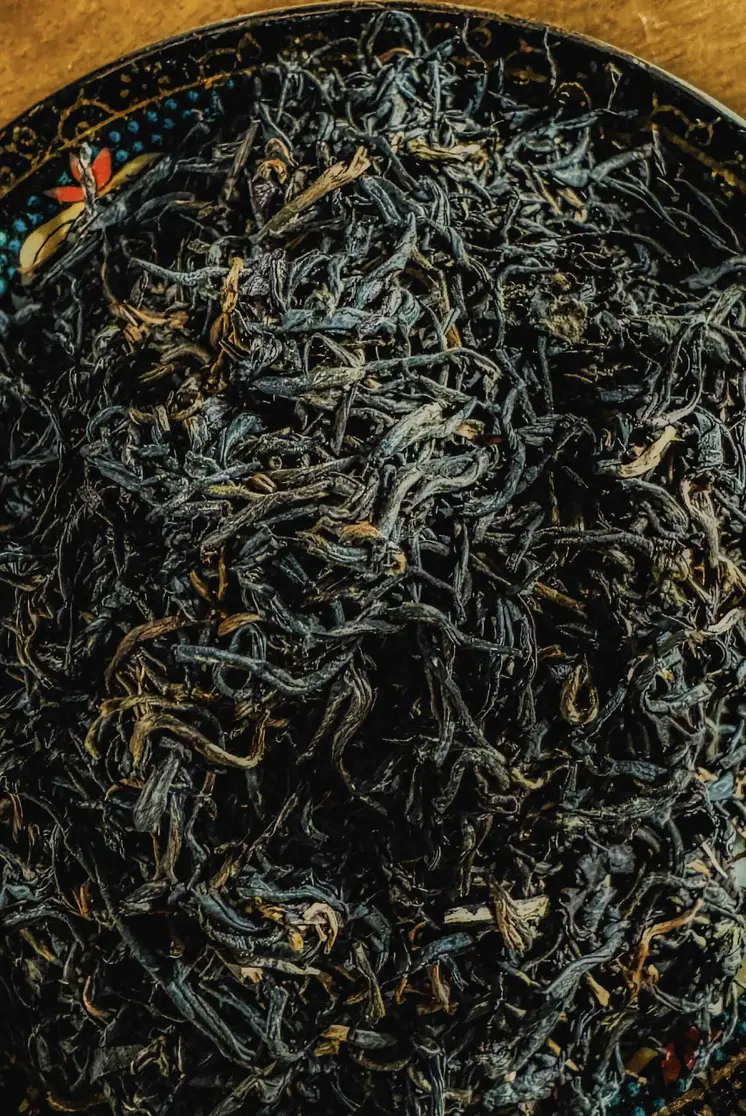Tang Yang Gold – Black 唐陽功夫紅茶