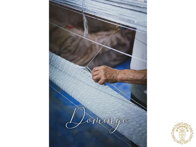 XL hammock “Palmitas”