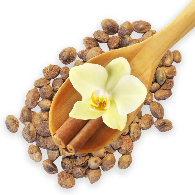Bio Hanf Crunchies Vanilla Cinnamon