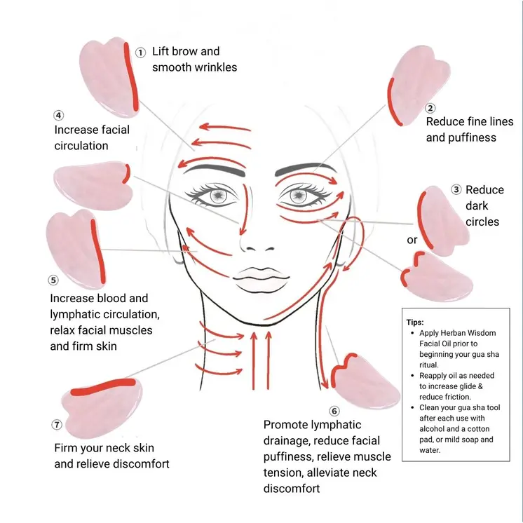 Gua Sha Tool