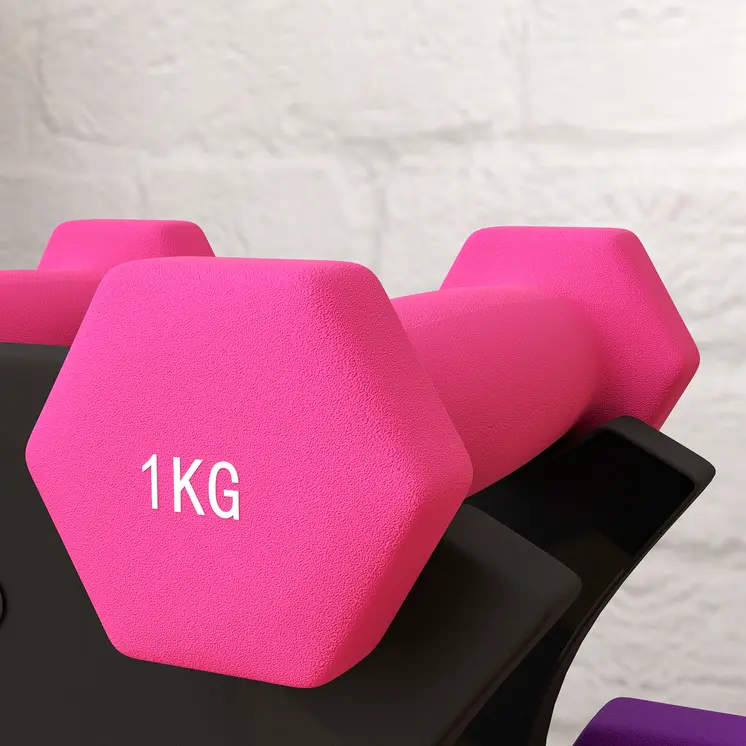 2 x 1kg, 2 x 2kg, 2 x 3kg Dumbbells Set with Dumbbell Rack, Hand Weights for Home Gym Training | SPORTNOW