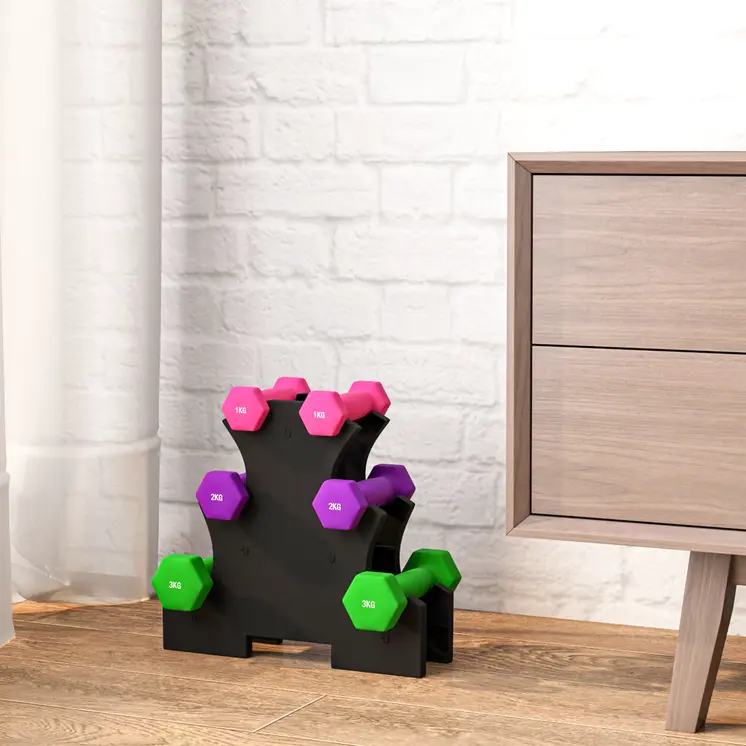 2 x 1kg, 2 x 2kg, 2 x 3kg Dumbbells Set with Dumbbell Rack, Hand Weights for Home Gym Training | SPORTNOW