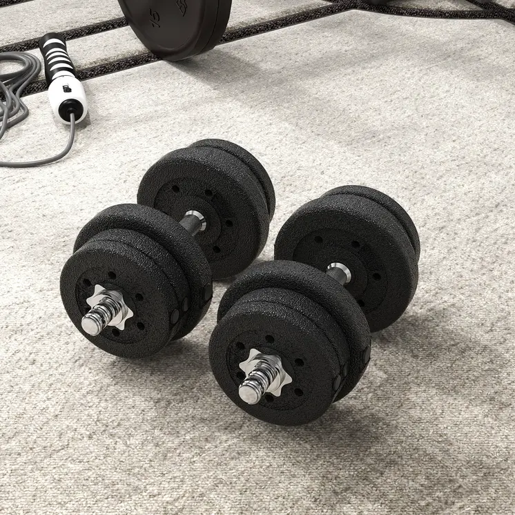 25KG Adjustable Weights Dumbbells Set, Dumbbell Hand Weights for Home Office Gym Body Fitness Lifting Training, Black by HOMCOM