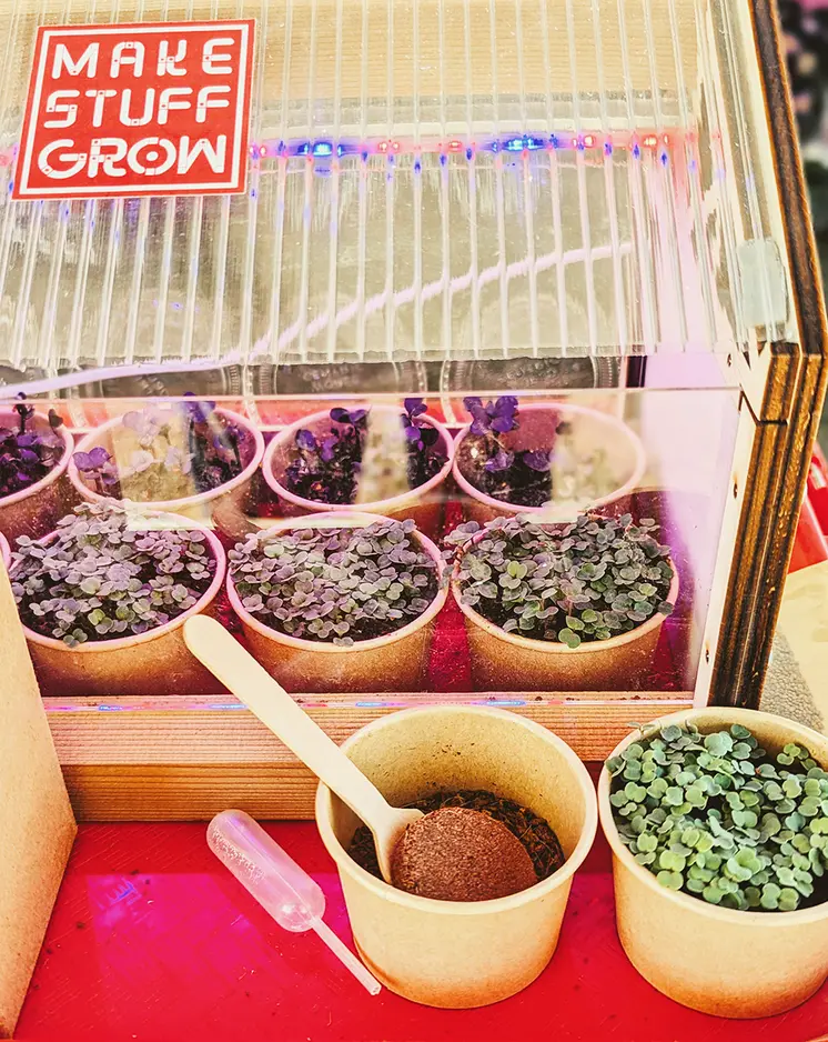 Make Stuff Grow | Micro-Greenhouse