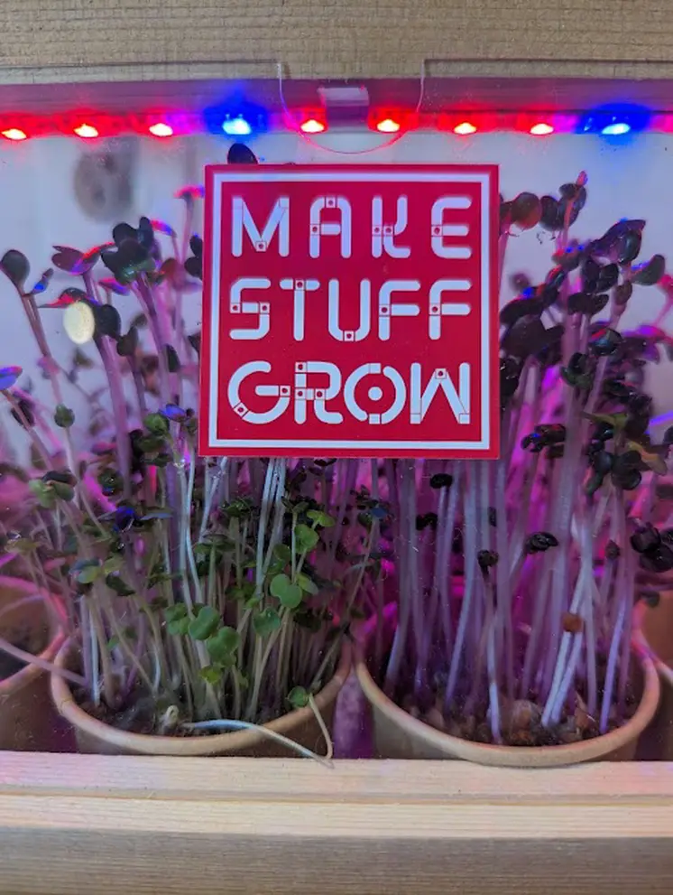 Make Stuff Grow | Seeds and Soil Pack