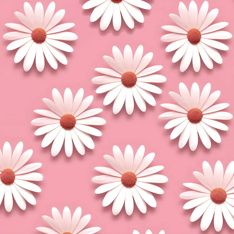 Minimalist White Daisy Grid on Pink Background 8”x8” Art Print