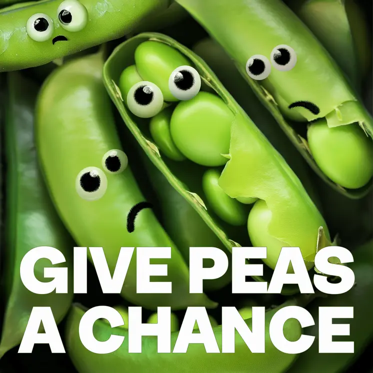 "Give Peas a Chance" 8"x8" Funny Art Print