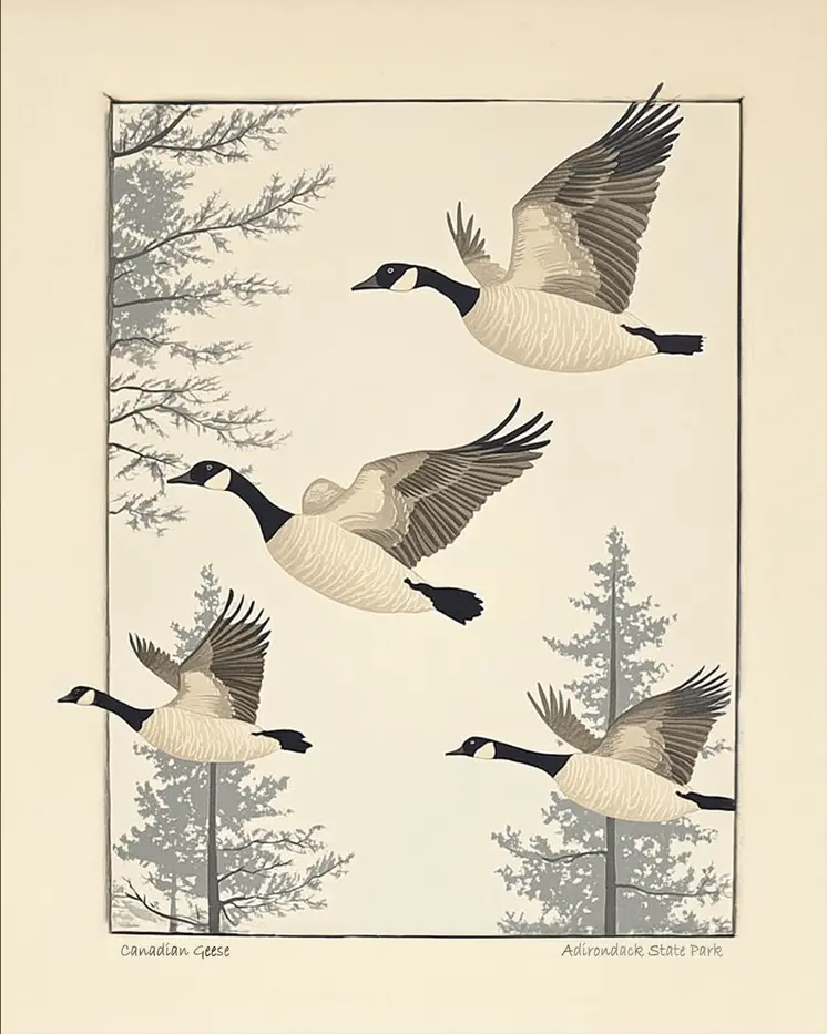 Canadian Geese Taking Flight - Adirondack State Park Souvenir Home Decor Wall Art Prints – 8″x10″ Artwork – 11″x14″ Matte
