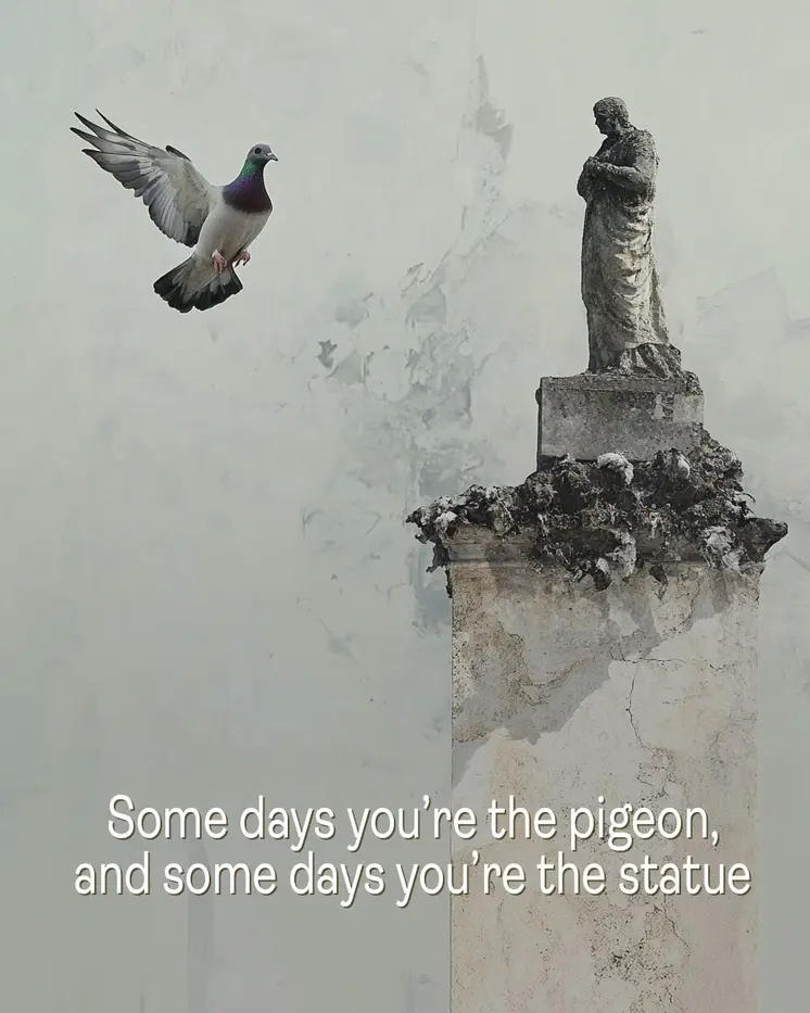 Pigeon - Motivational Art Prints Wall Art Prints - 8"x10" Art Print for 11"x14" Frame