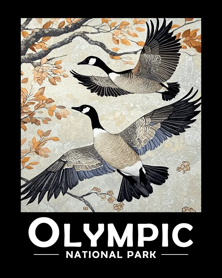 Canadian Geese in Flight - Olympic Souvenir Art Prints - 8"x10" Artwork for 11"x14" Frame