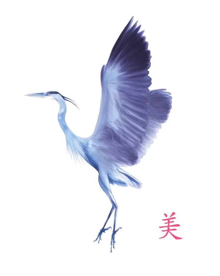 Ink Wash Japanese Heron – 8″x10″ Artwork for 11″x14″ Frame