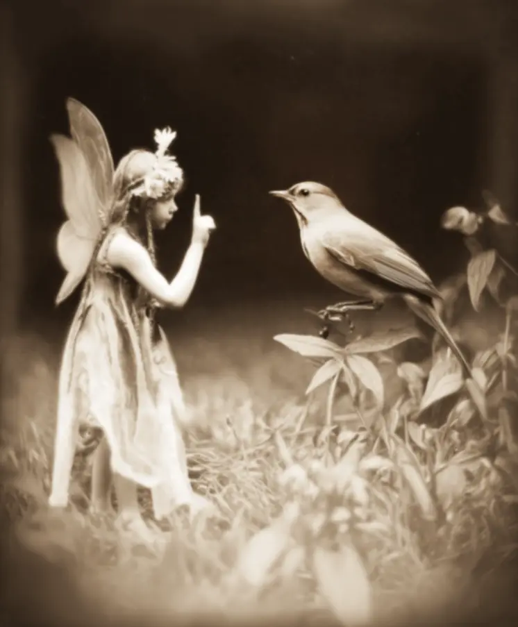 Fairy Evidence Cambridge Institute Art Print - Fairies 8"x10" Artwork