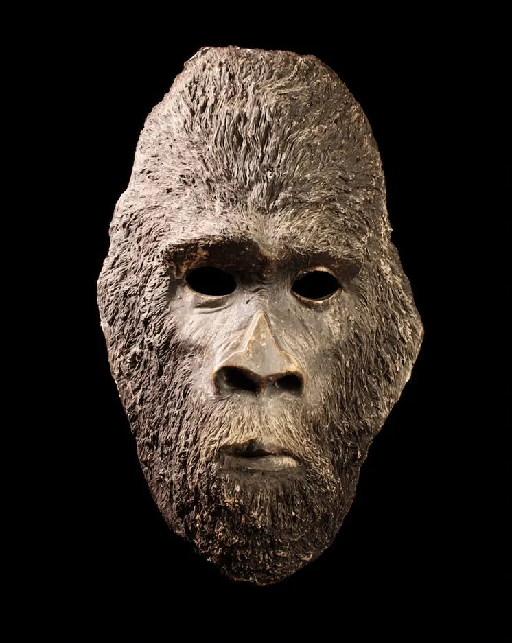 Bigfoot Mask 8 - Mask Art Prints - 8"x10" Artwork