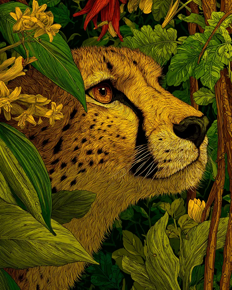 Hidden Cheetah Big Cats Art Print - 8"x10" Artwork