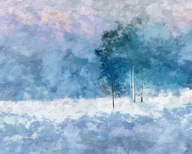 Birch Trees on Stormy Wintry Day - Winter Landscape Art Print - 8"x10" Artwork for 11"x14" Frame