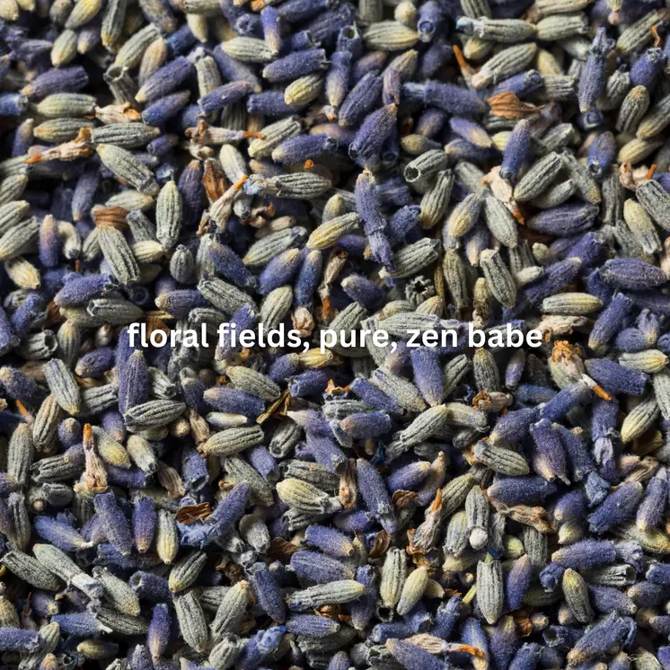 Deodorant - Lush Lavender