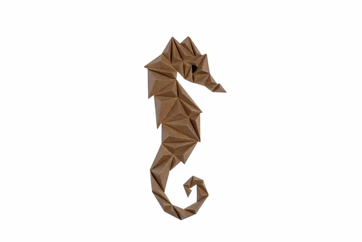 Hippocampe