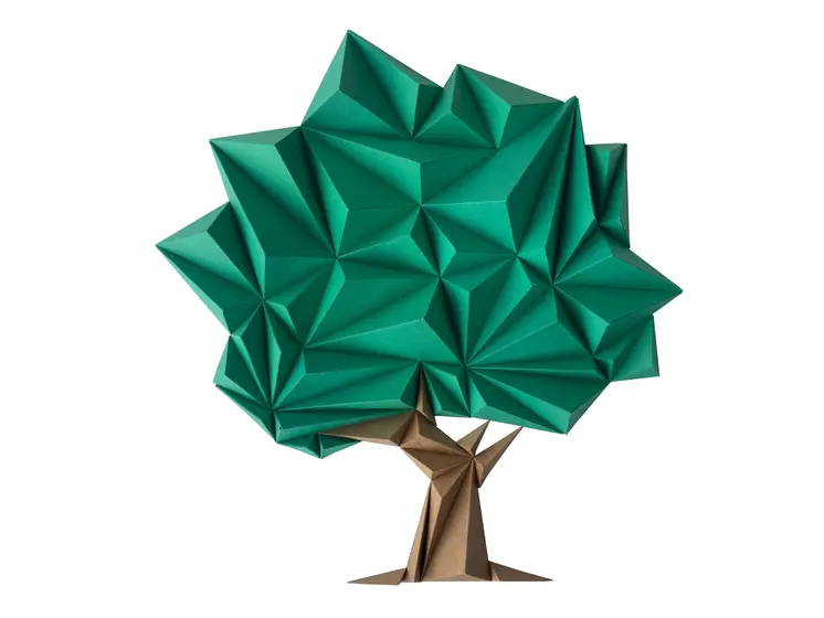 Arbre - Nature