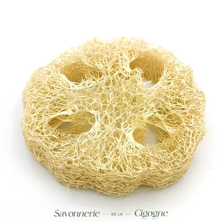 Loofah