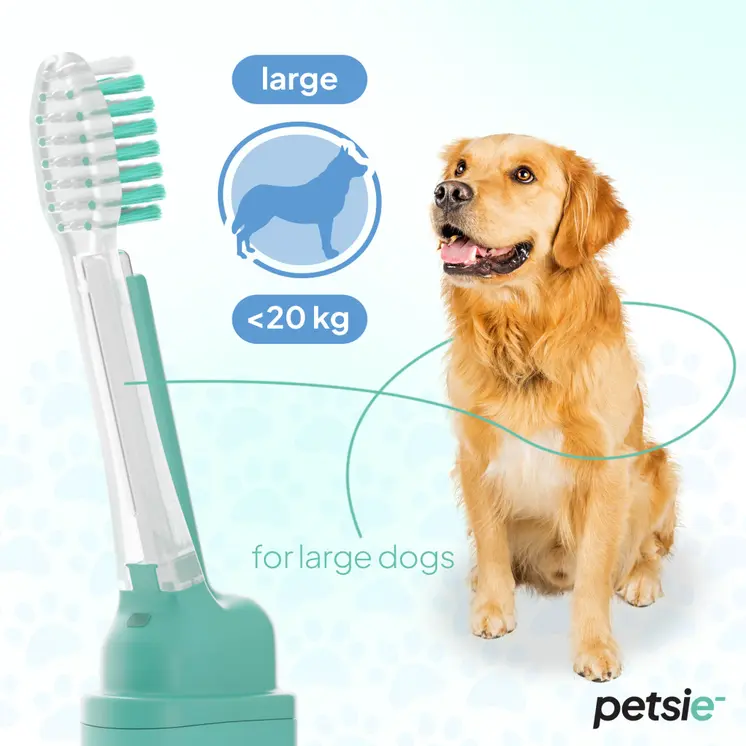 2 replacement heads for Petsie dog toothbrush (size L 20+kg)