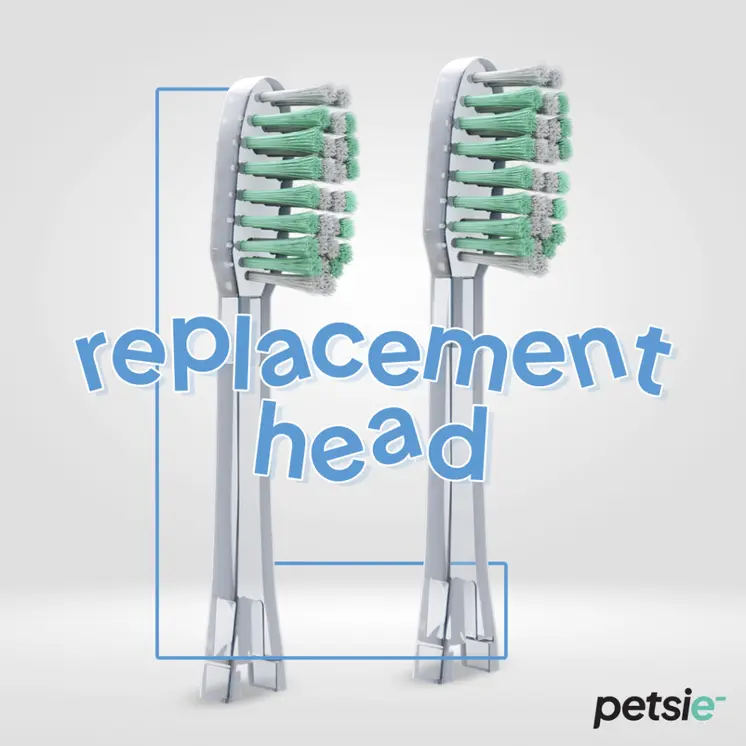 2 replacement heads for Petsie dog toothbrush (size L 20+kg)
