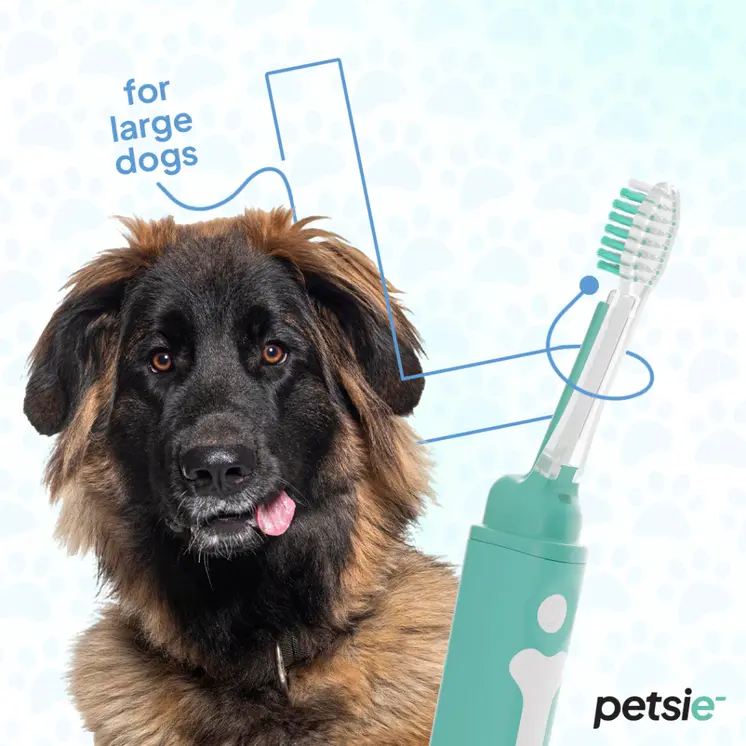 2 replacement heads for Petsie dog toothbrush (size L 20+kg)