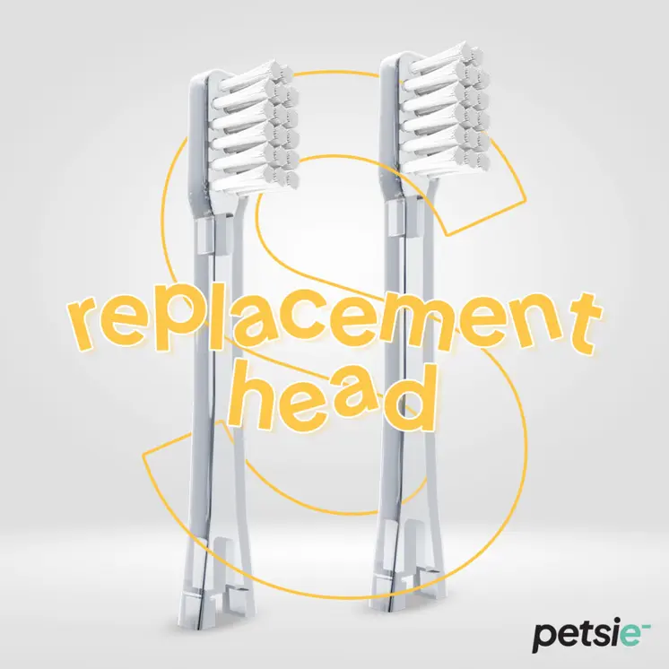 2 replacement heads for Petsie dog toothbrush (size S - 10 kg)