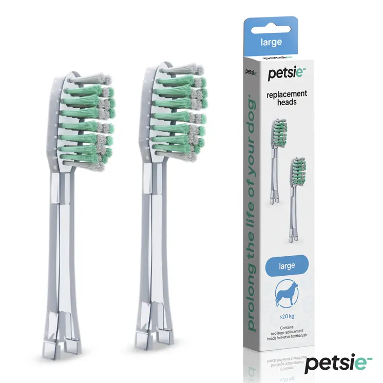 2 replacement heads for Petsie dog toothbrush (size L 20+kg)