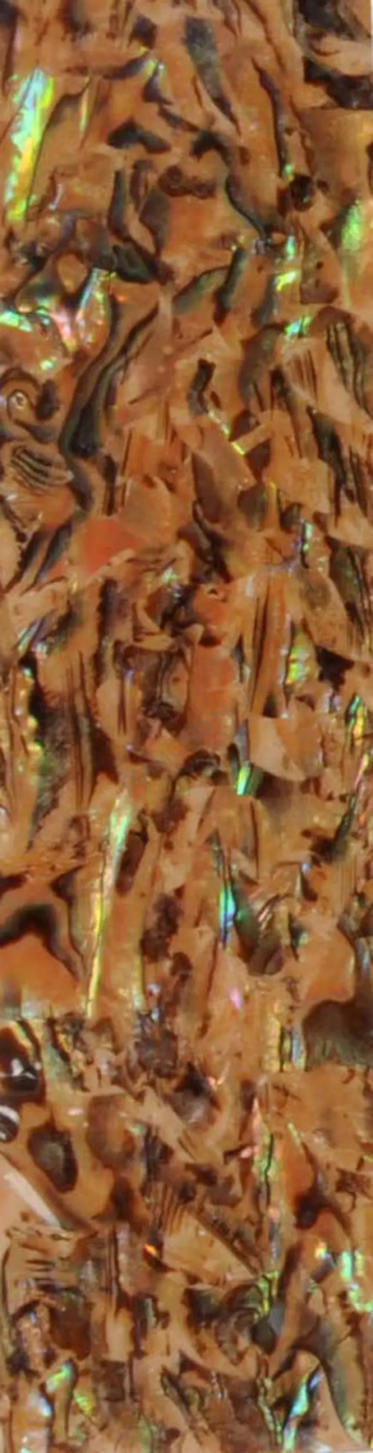Shell strip - gold