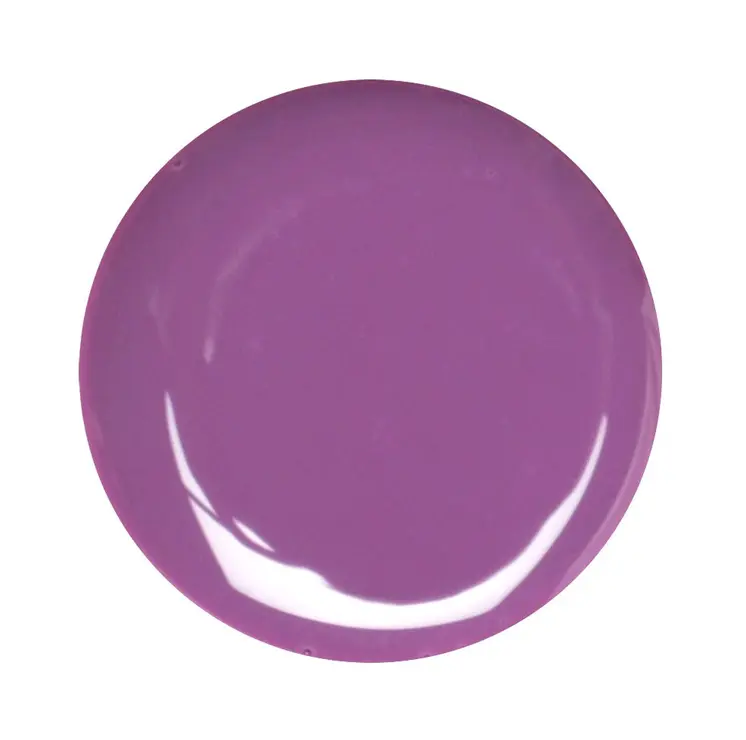 Violet Color Gel 5gr #25