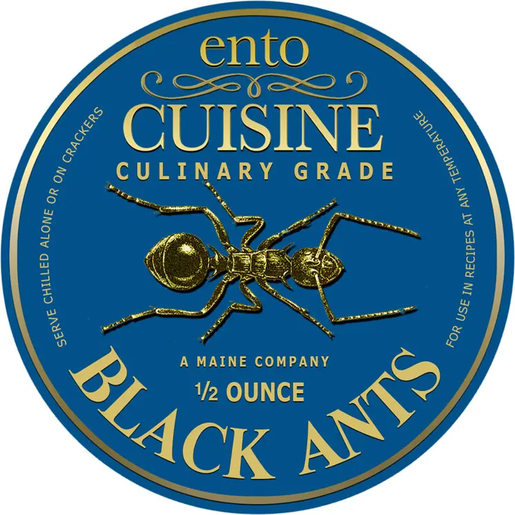 Culinary Quality Black Ants