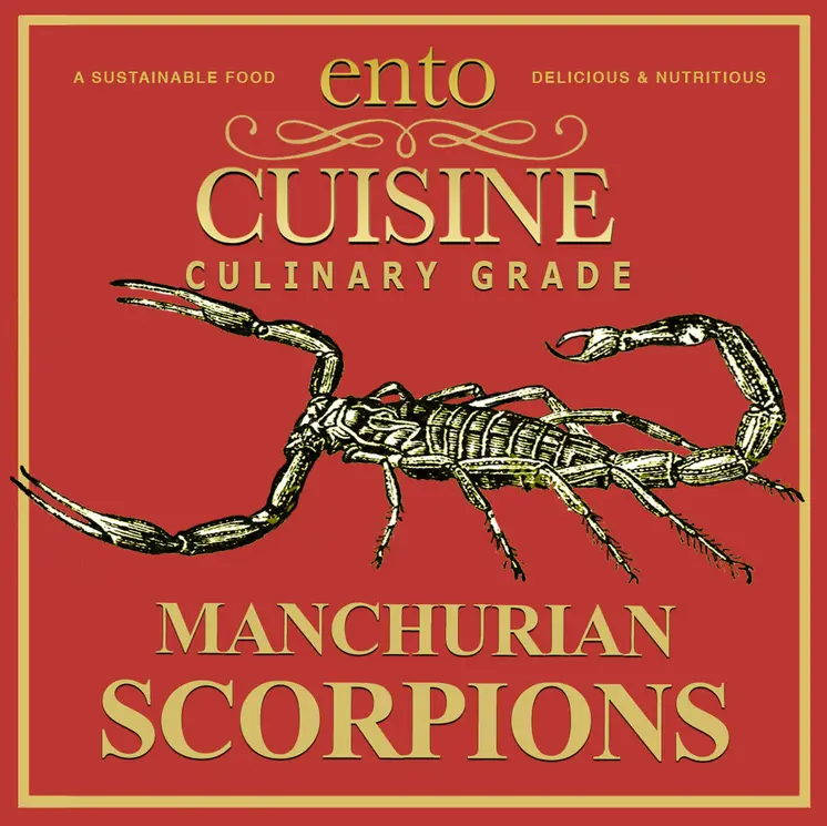 Edible Manchurian Scorpions