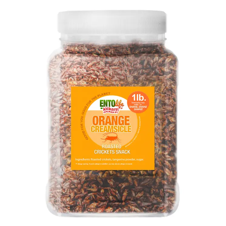 Crickets By The Pound | Orange Creamsicle