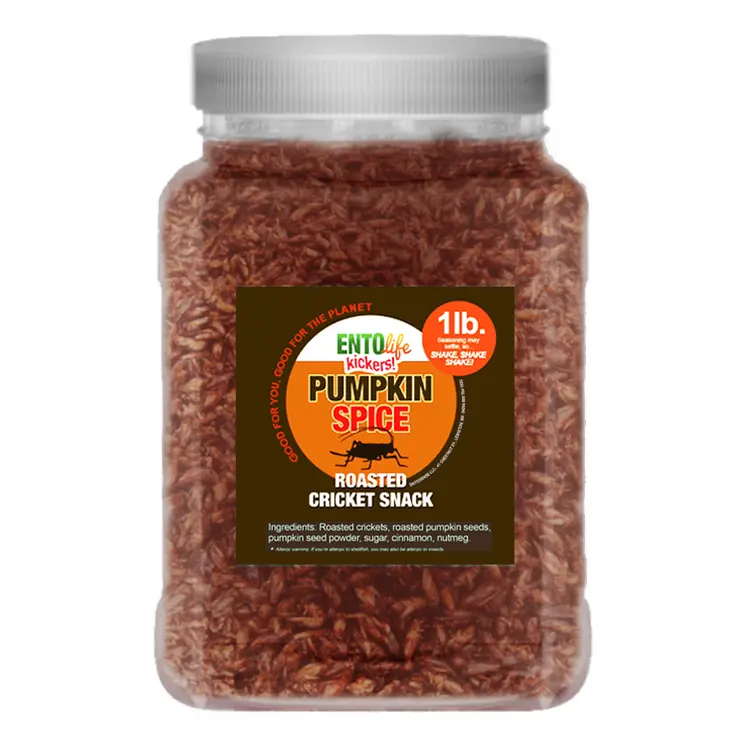 Crickets By The Pound | Pumpkin Spice