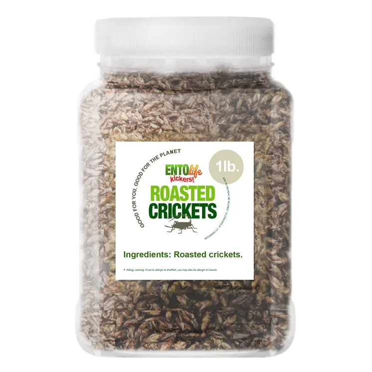 Crickets By The Pound | Plain Unflavored Roasted Crickets