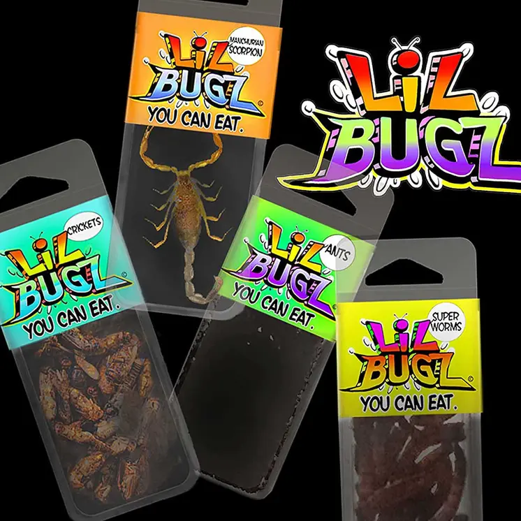 Lil Bugs You Can Eat - 4 Pack of Edible Insects