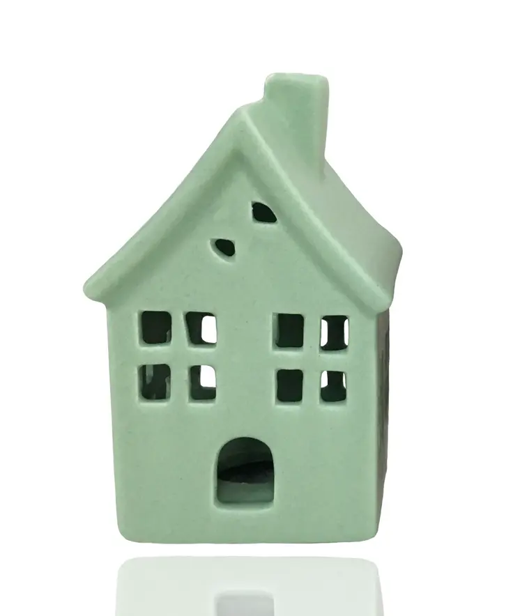 CARTILAGE HOUSE+WINDOW+DOOR GREEN 13