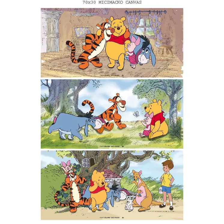 DISN.PICTURE WINNIE 3S 70*30