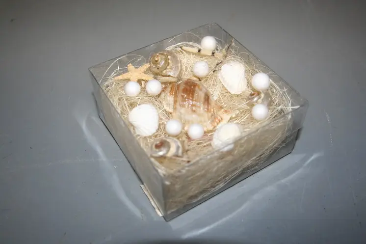 SHELL+NATURAL SHELF/PVC BOX