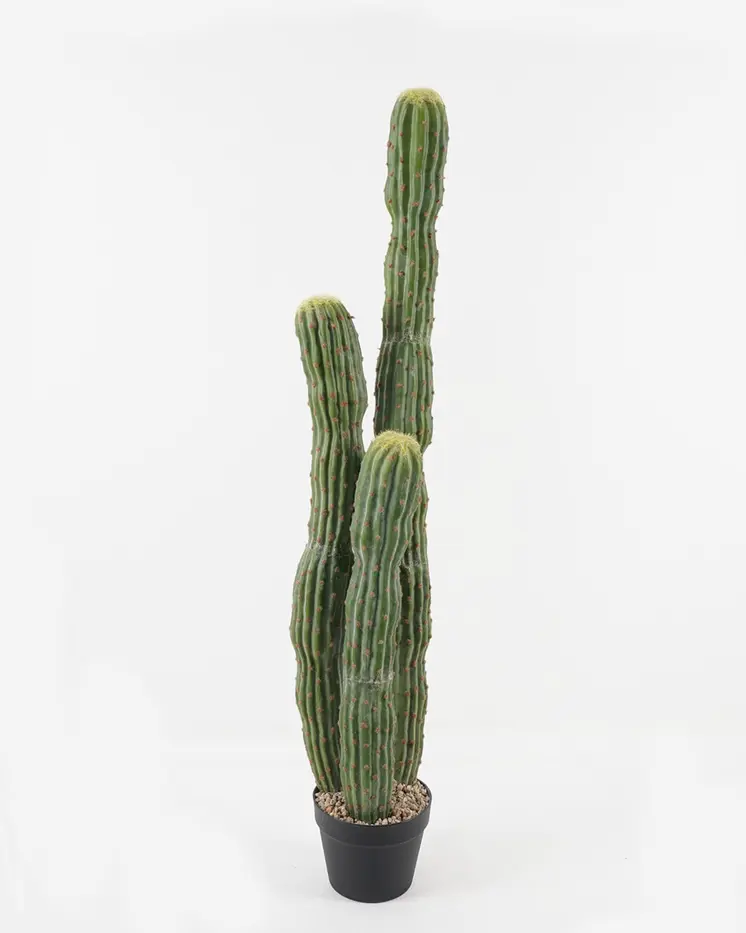 CACTUS GREEN 116CM