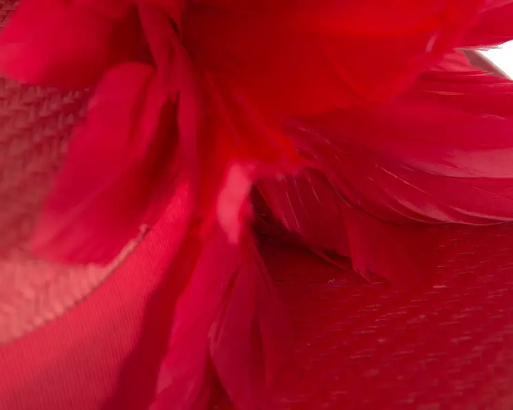 Red boater hat by Max Alexander MA902
