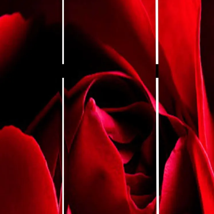 48 X 72 Multi Color Wood Canvas Rose  Screen